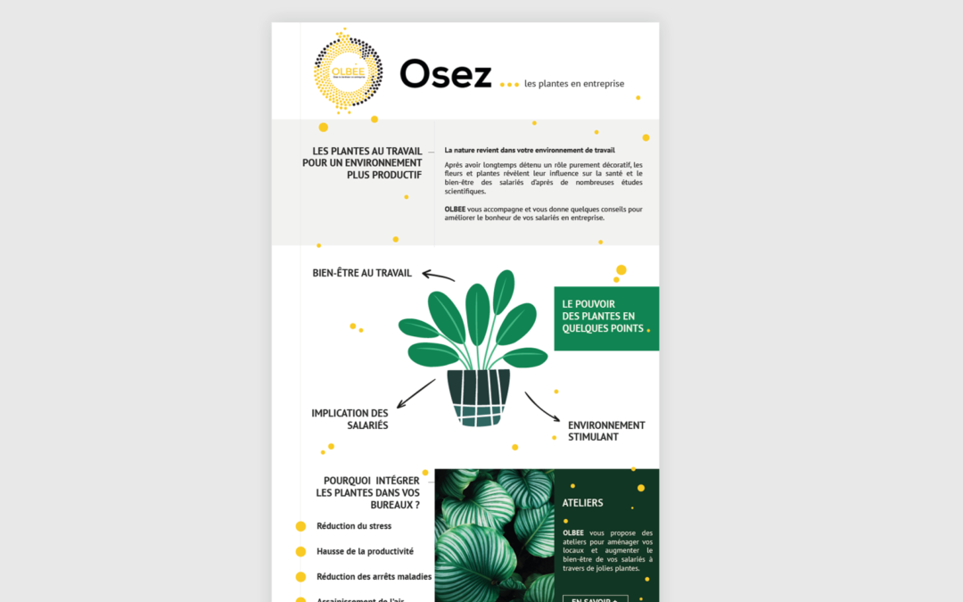 Olbee – Newsletter corporate